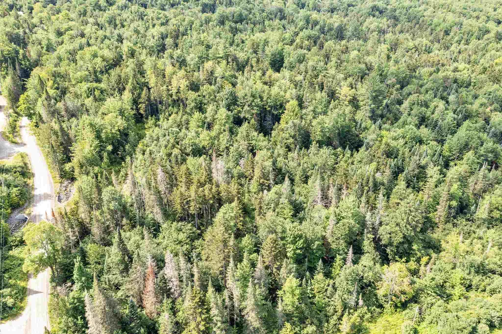 0 Cooper Hill/blakeville Road Eden VT 05653