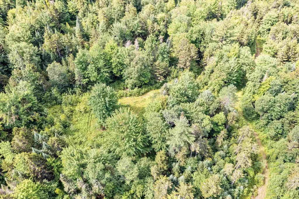 0 Cooper Hill/blakeville Road Eden VT 05653