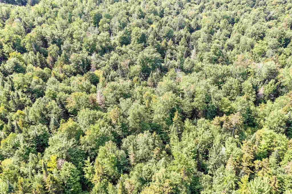 0 Cooper Hill/blakeville Road Eden VT 05653