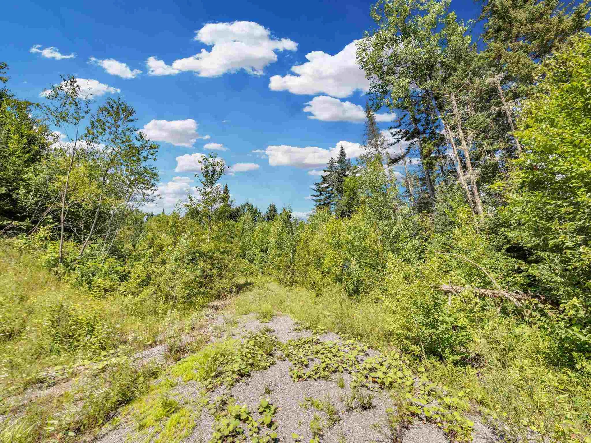 0 Cooper Hill/blakeville Road Eden VT 05653