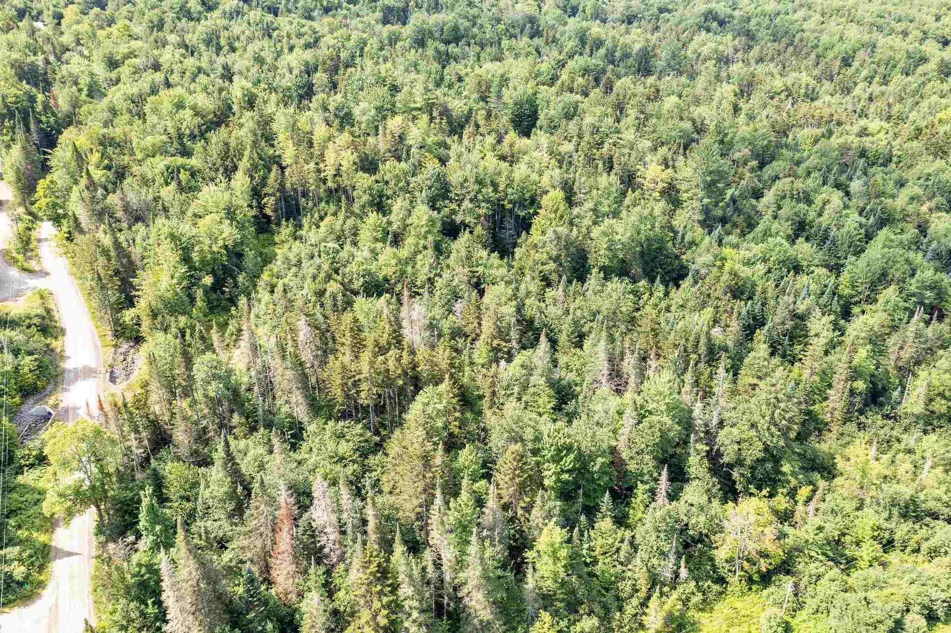 0 Cooper Hill/blakeville Road Eden VT 05653