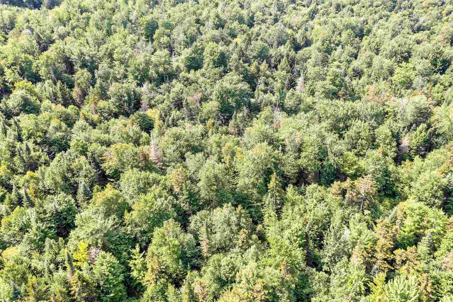 0 Cooper Hill/blakeville Road Eden VT 05653