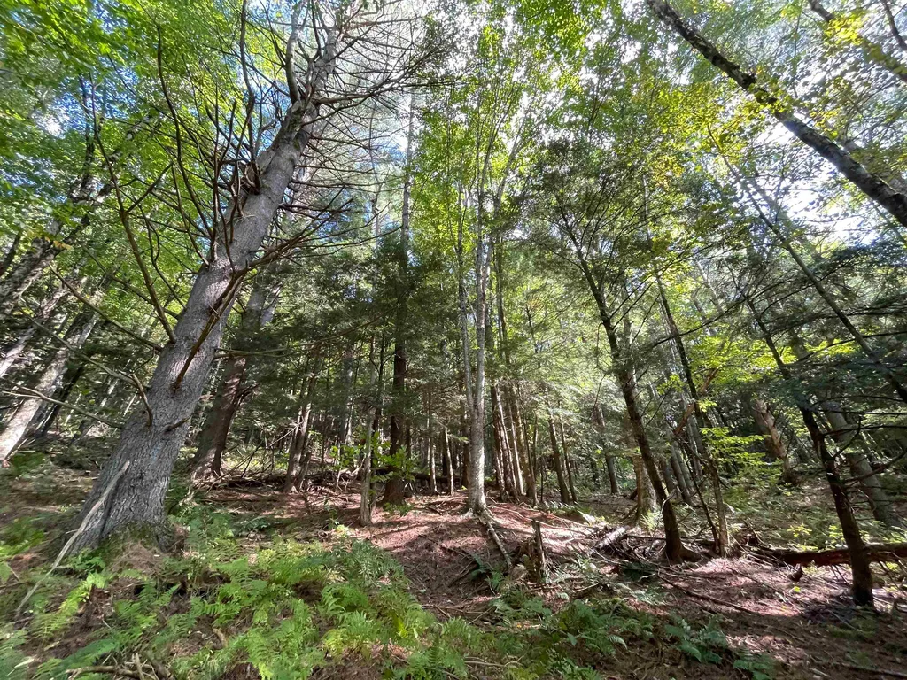 850 Bakersfield Road Fletcher VT 05448