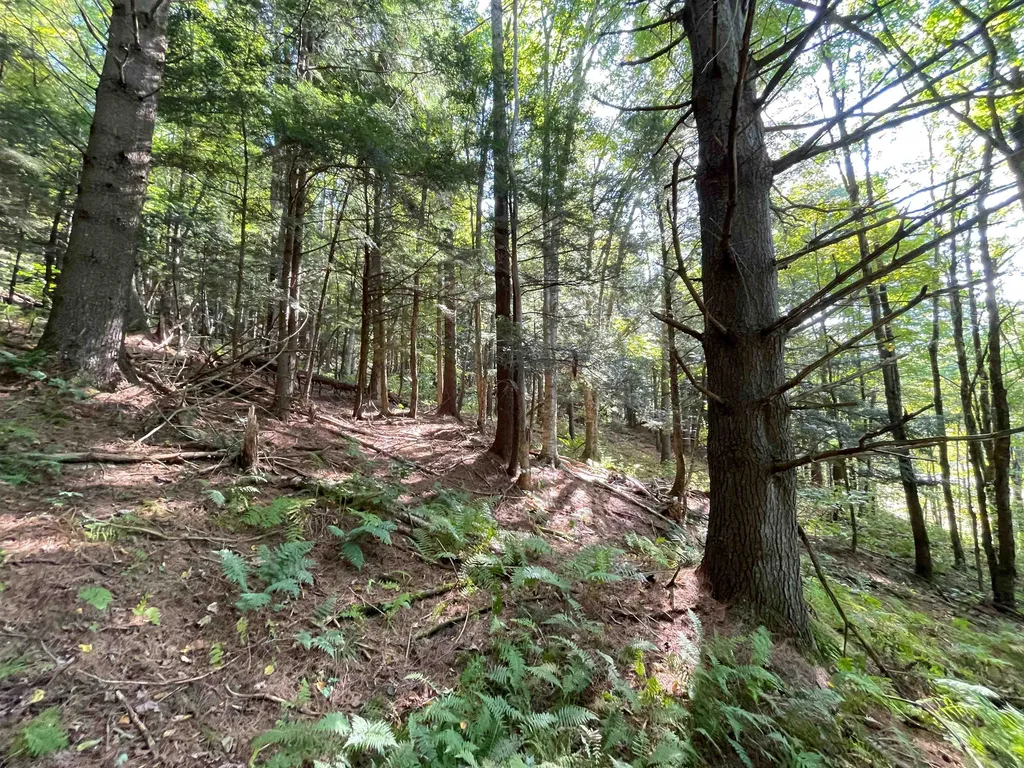 850 Bakersfield Road Fletcher VT 05448