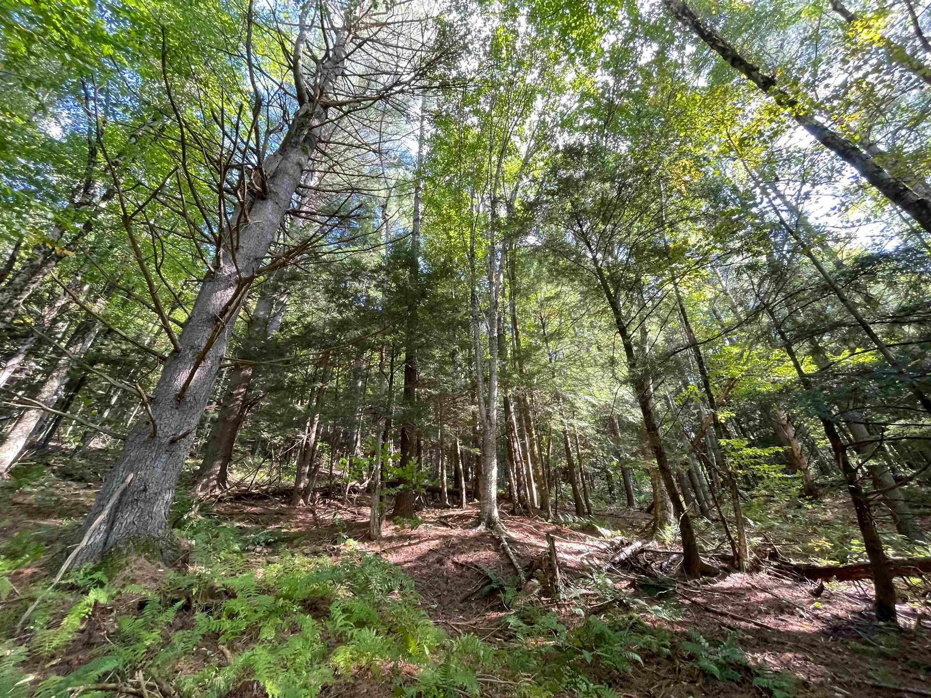 850 Bakersfield Road Fletcher VT 05448