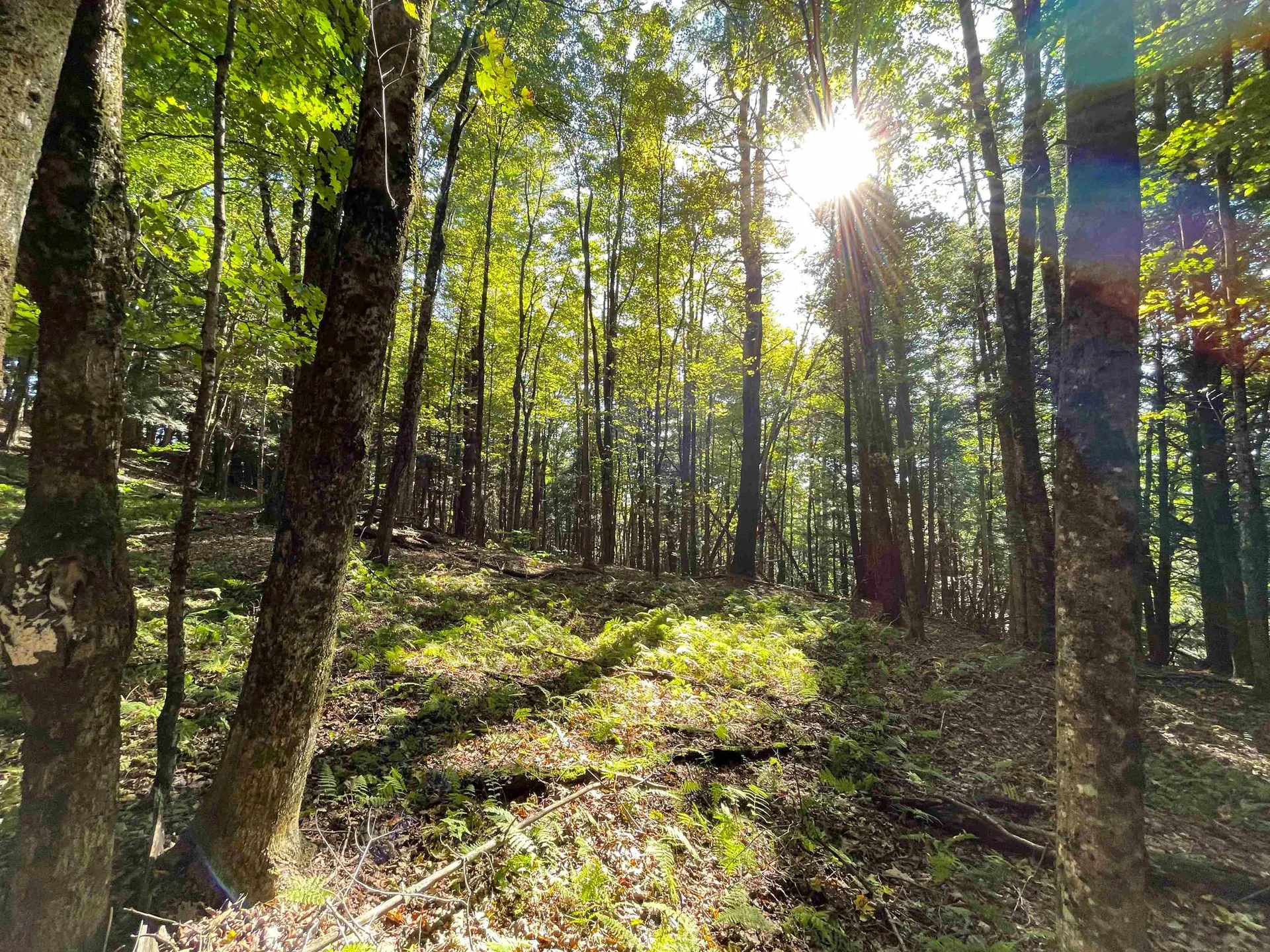 850 Bakersfield Road Fletcher VT 05448