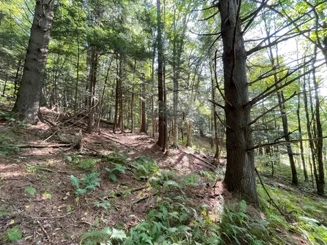 850 Bakersfield Road Fletcher VT 05448