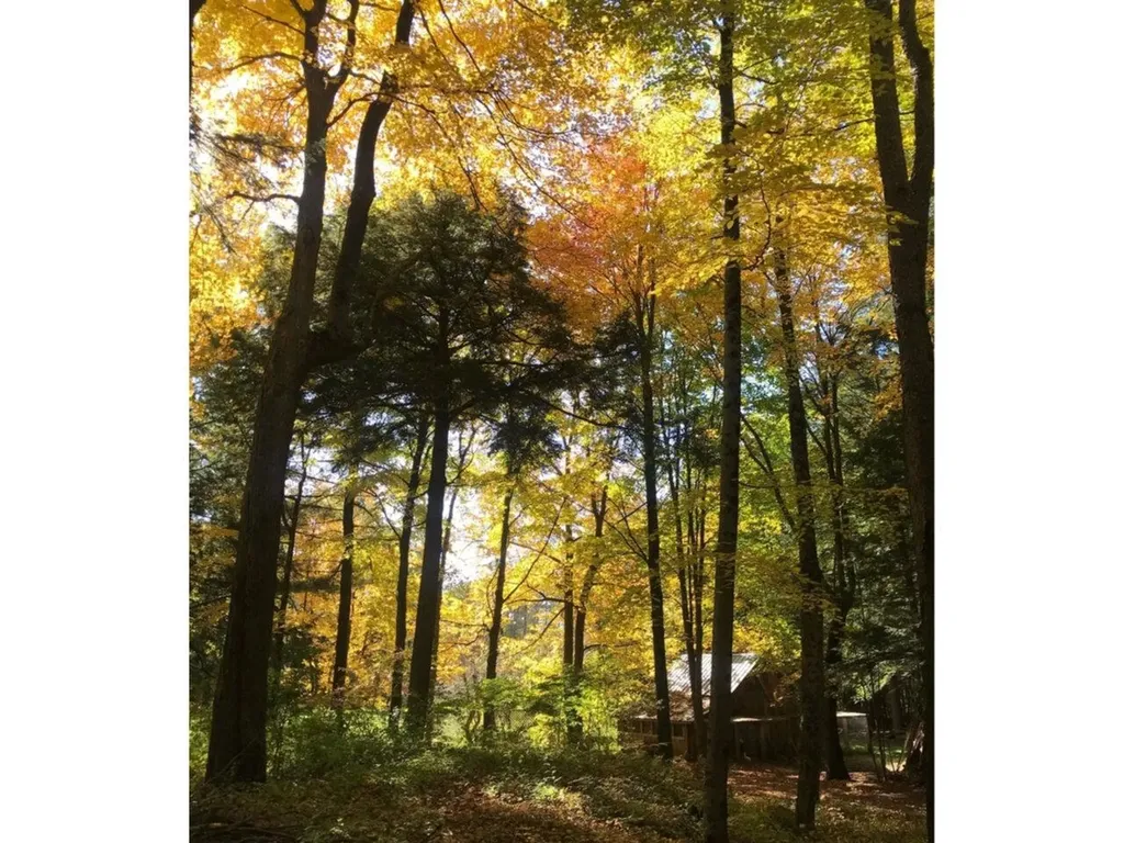 1108 Quarry Road Middlebury VT 05753