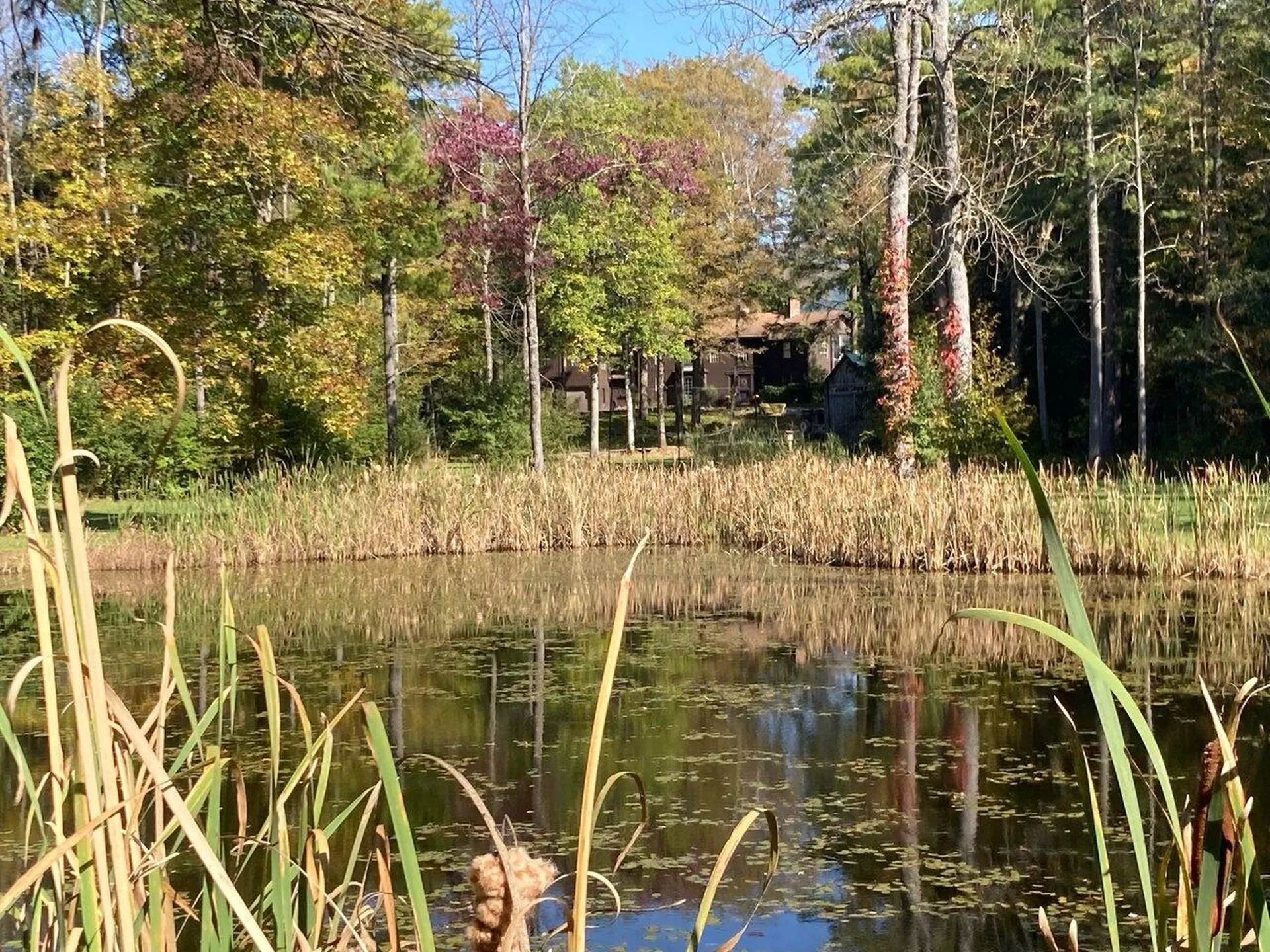 1108 Quarry Road Middlebury VT 05753