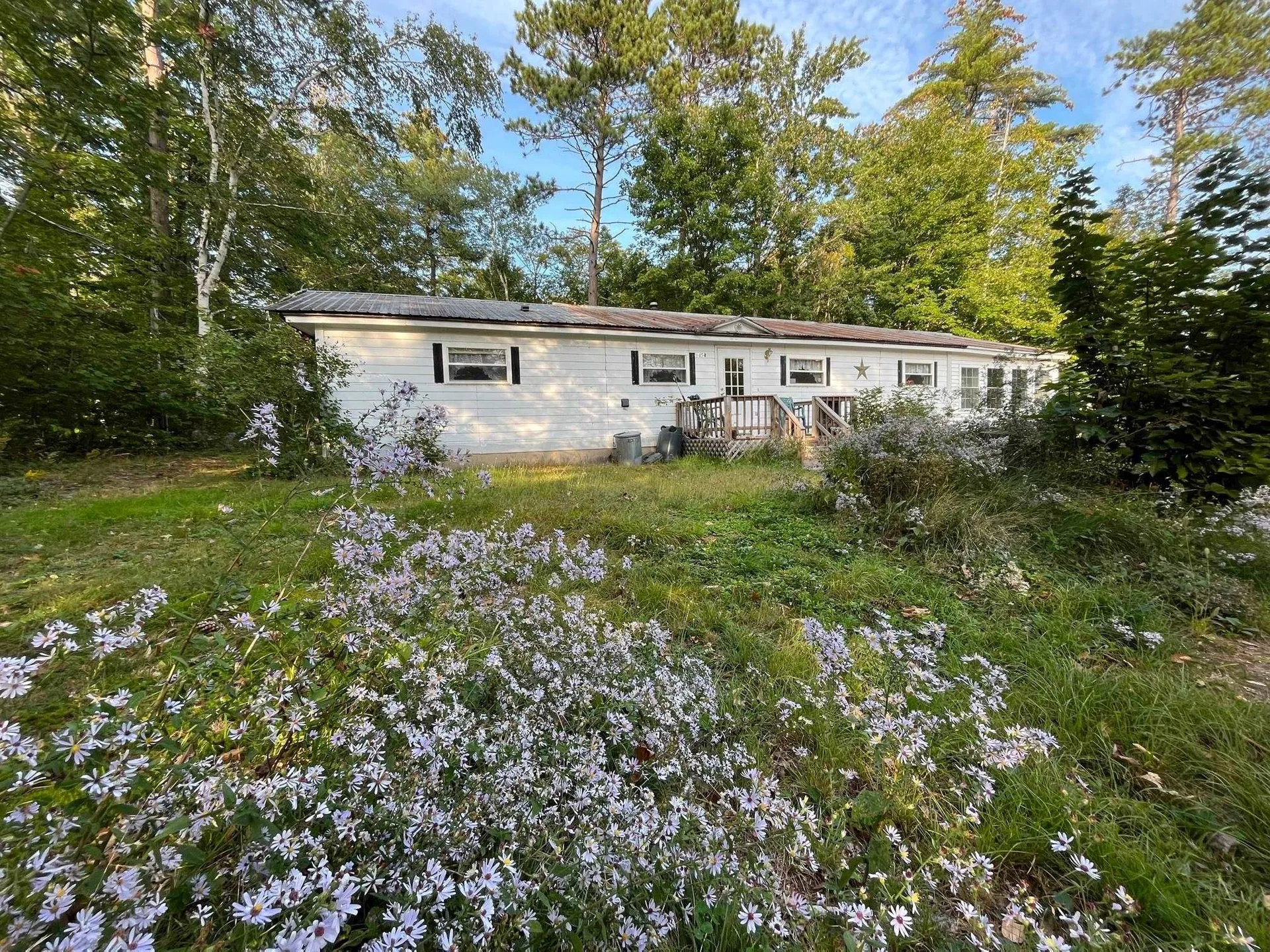1454 Passaconaway Road Albany NH 03818