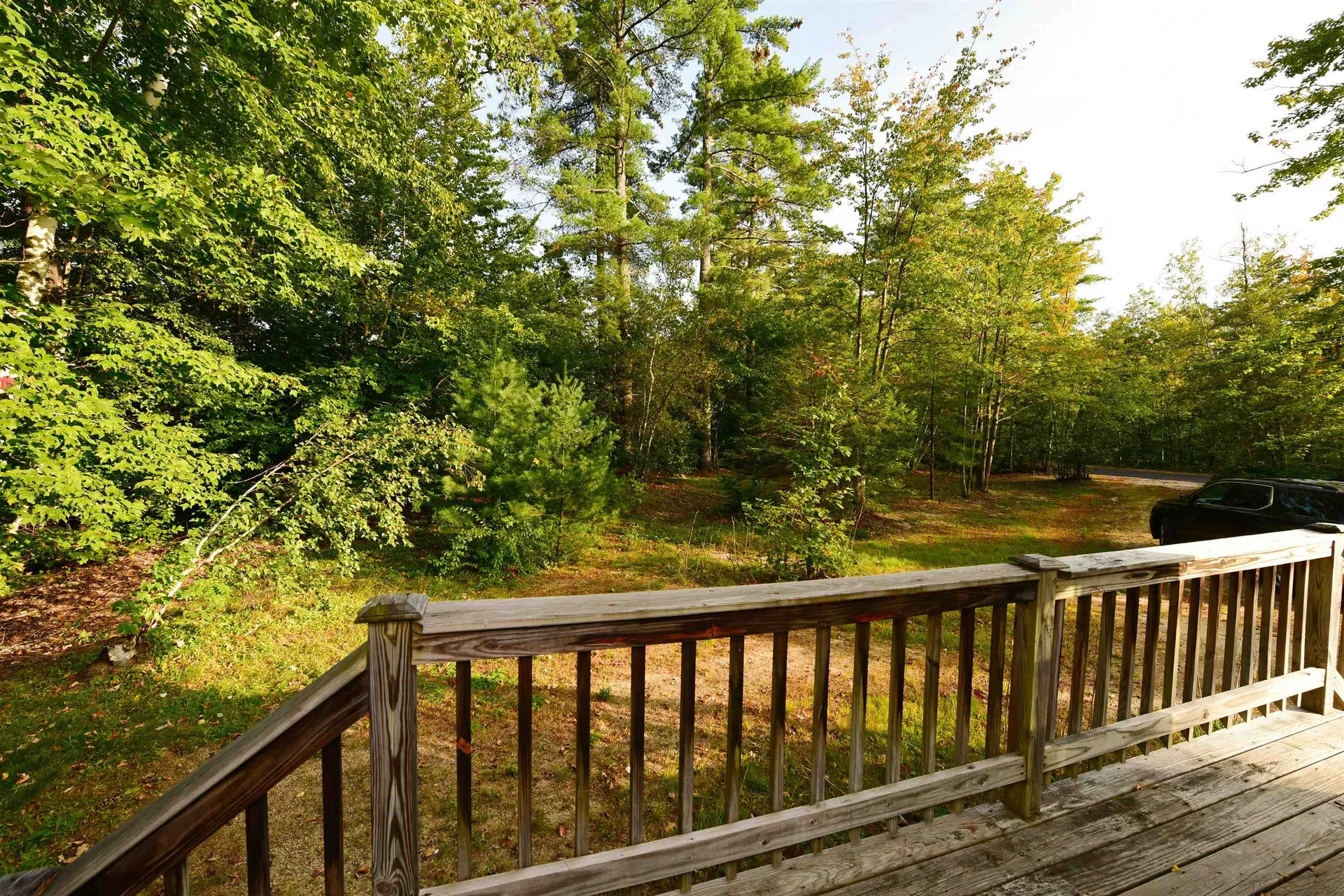 1454 Passaconaway Road Albany NH 03818
