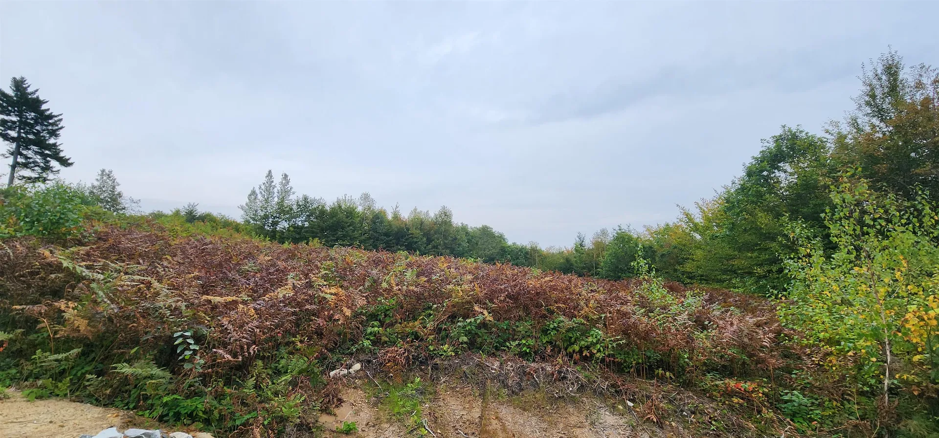 Lot 26 Skyline Drive Hebron NH 03241