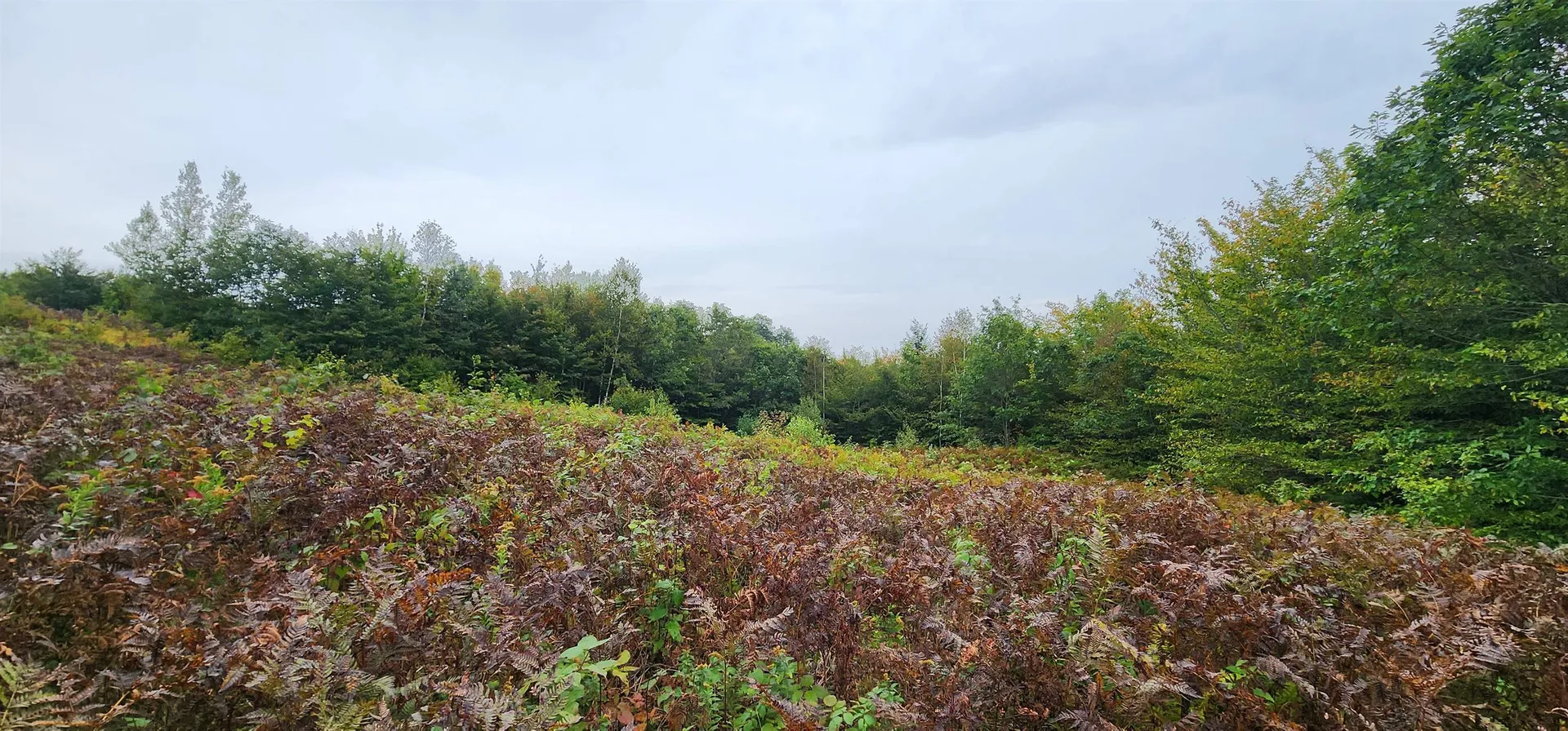 Lot 26 Skyline Drive Hebron NH 03241