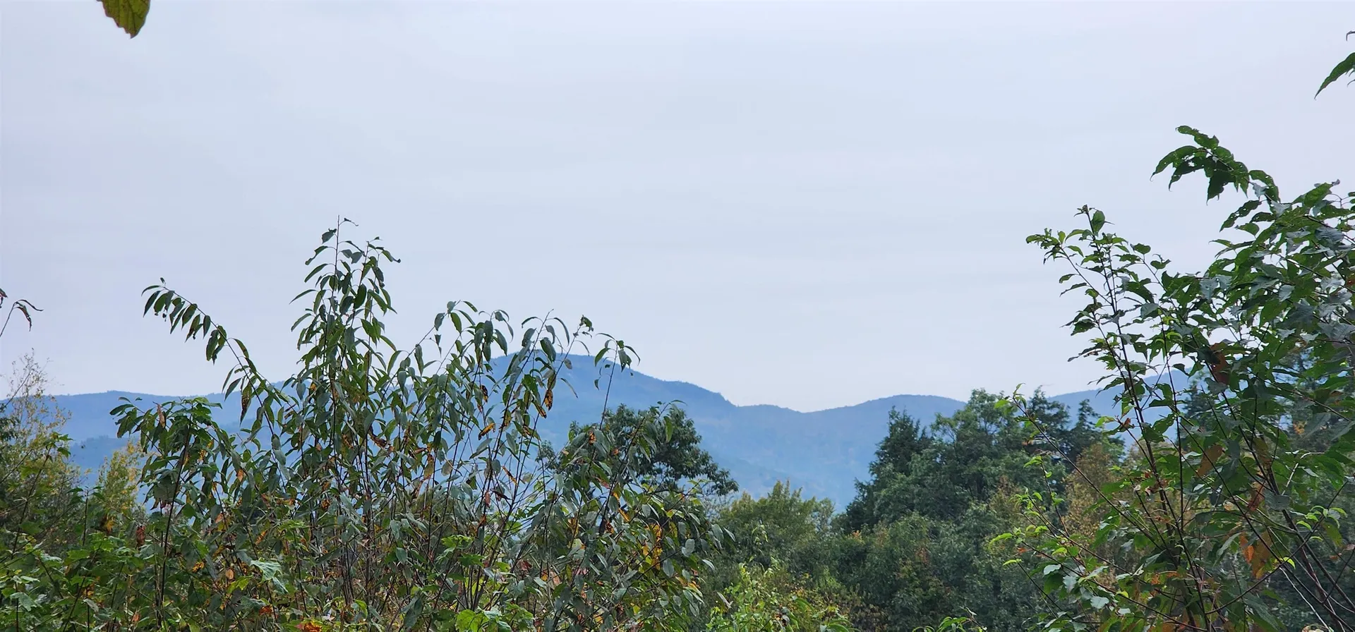 Lot 26 Skyline Drive Hebron NH 03241