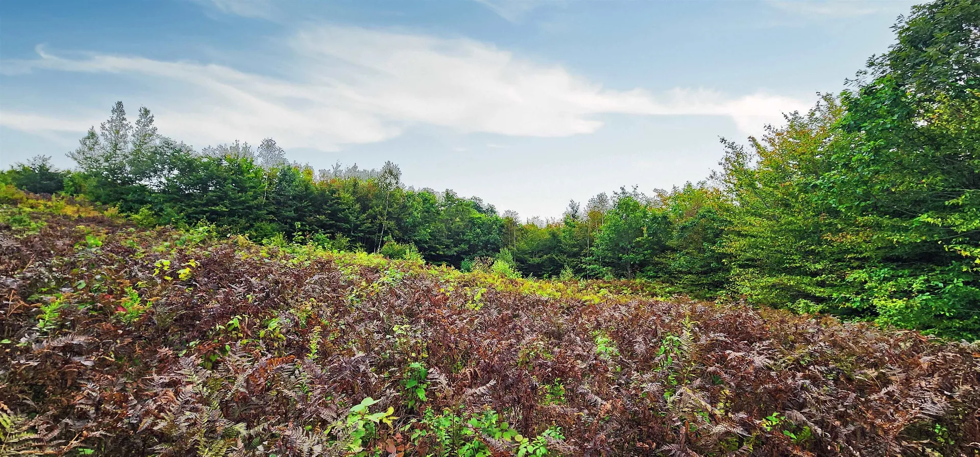 Lot 26 Skyline Drive Hebron NH 03241