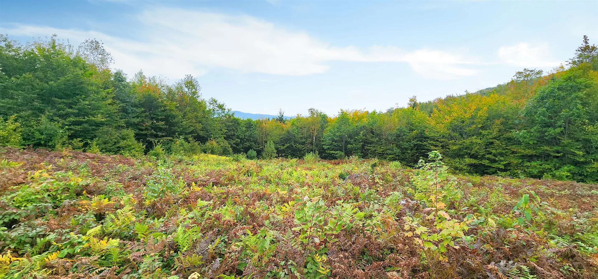 Lot 26 Skyline Drive Hebron NH 03241