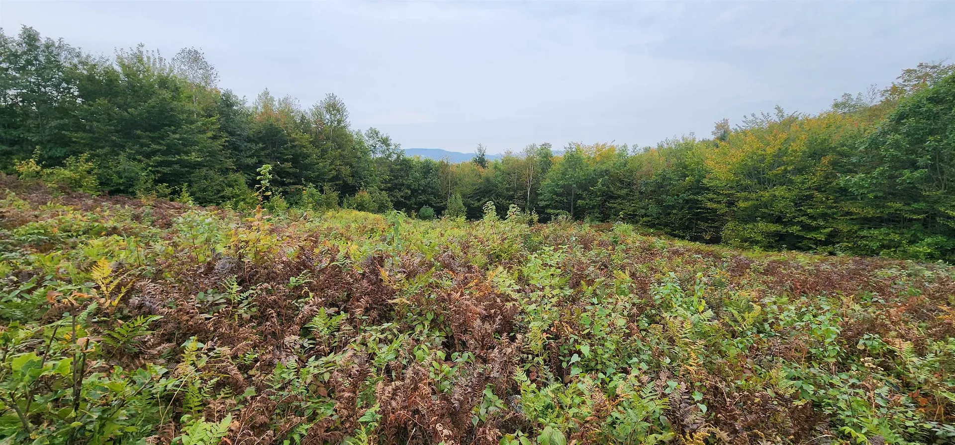 Lot 26 Skyline Drive Hebron NH 03241