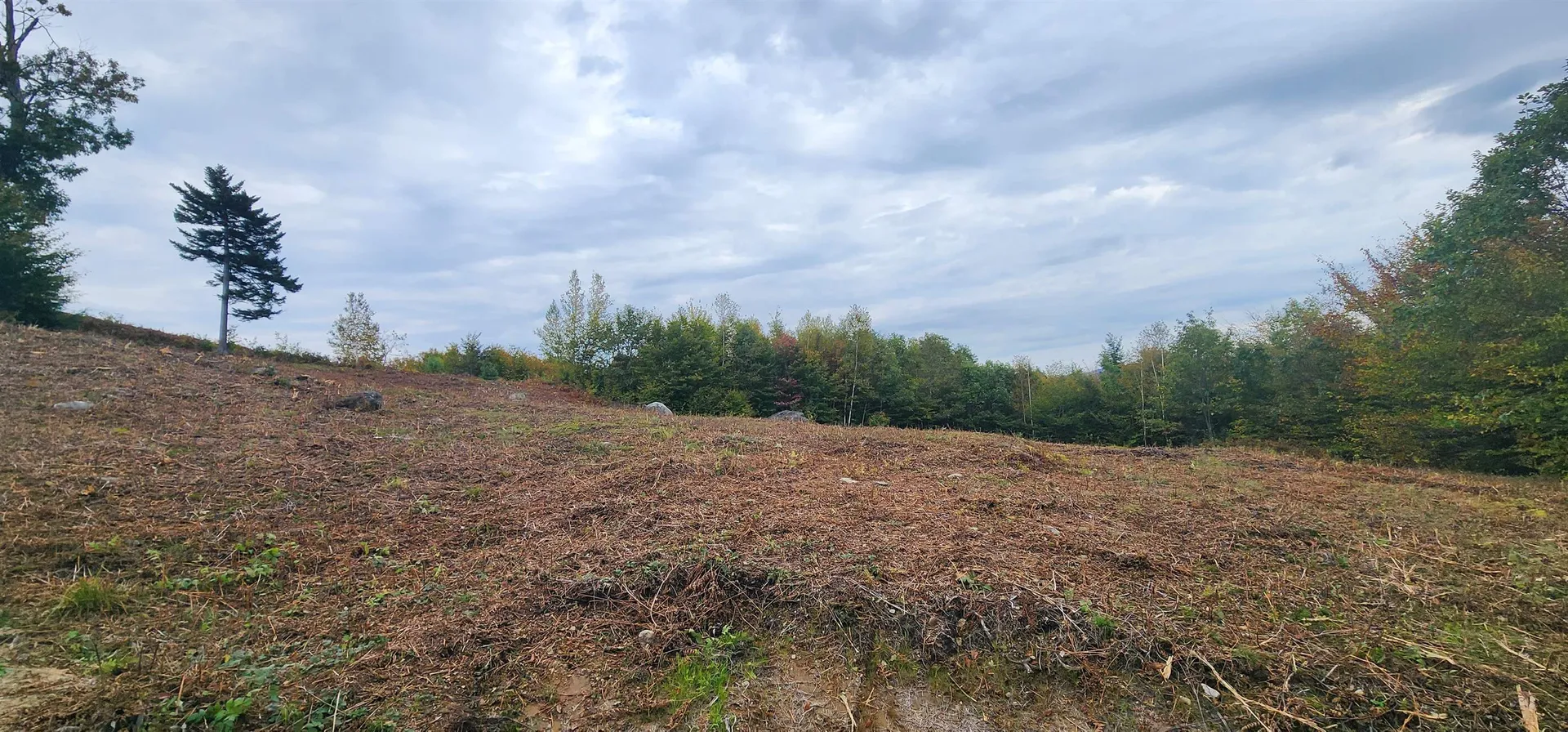 Lot 26 Skyline Drive Hebron NH 03241