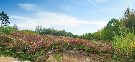 Lot 26 Skyline Drive Hebron NH 03241