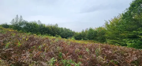 Lot 26 Skyline Drive Hebron NH 03241