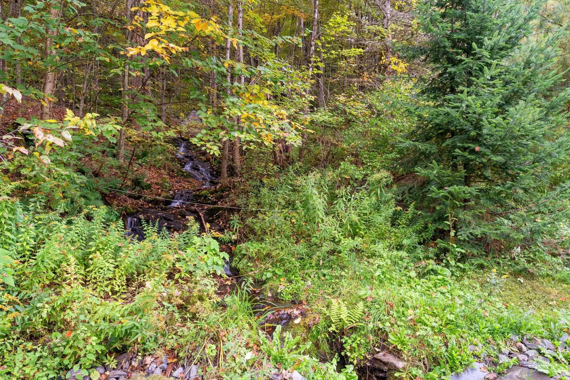 1282 Route 12 S Northfield VT 05663