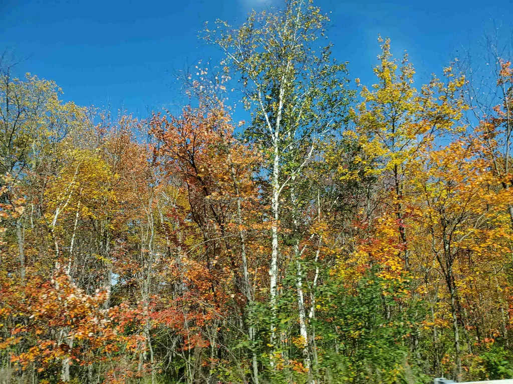 170 S Whitefield Road Whitefield NH 03598