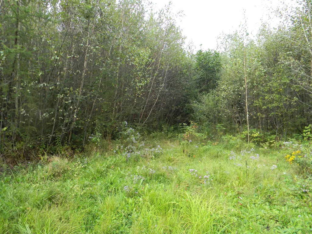 170 S Whitefield Road Whitefield NH 03598