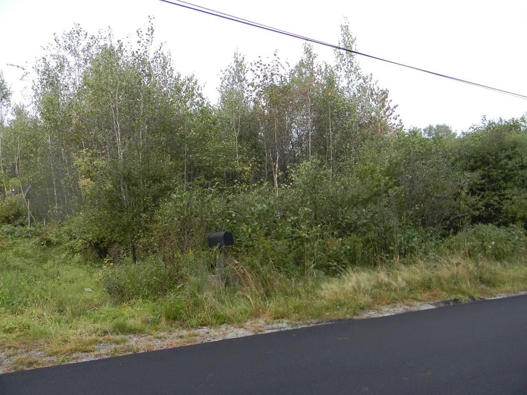 170 S Whitefield Road Whitefield NH 03598