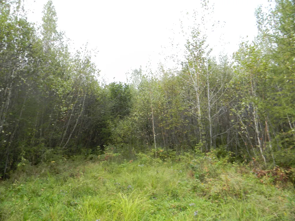 170 S Whitefield Road Whitefield NH 03598