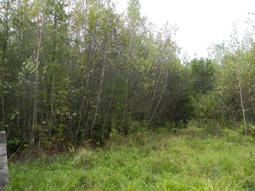 170 S Whitefield Road Whitefield NH 03598