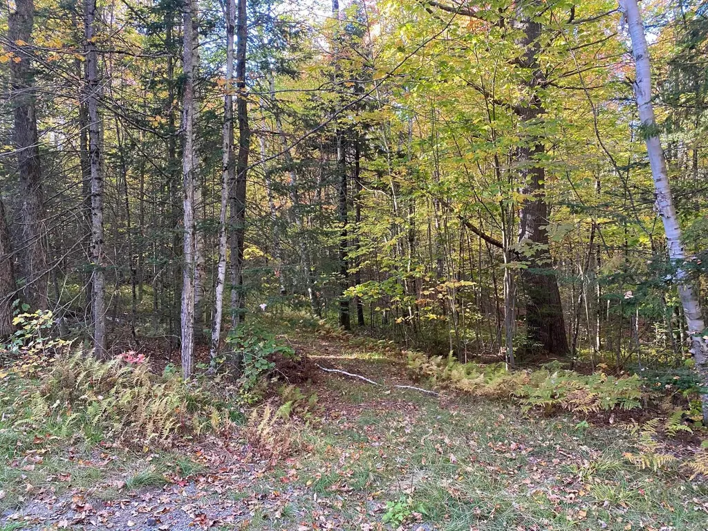 Lot 33.1 Maple Street Bethlehem NH 03574