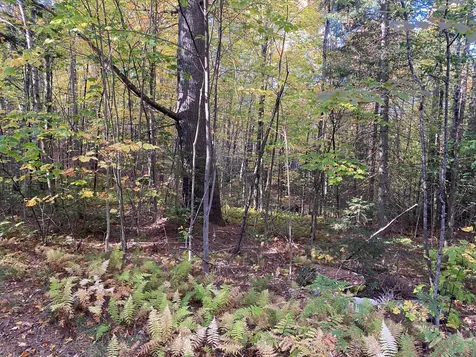 Lot 33.1 Maple Street Bethlehem NH 03574