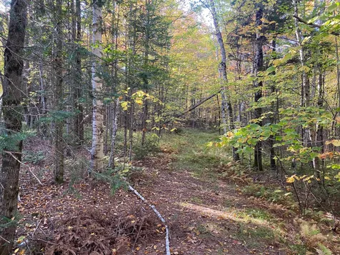 Lot 33.1 Maple Street Bethlehem NH 03574