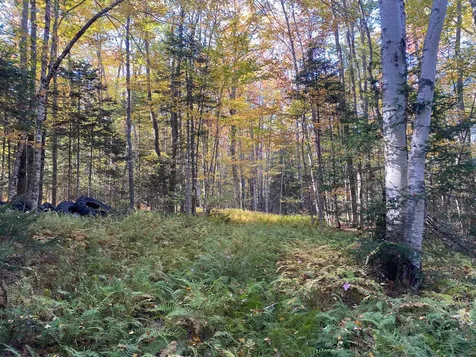 Lot 33.1 Maple Street Bethlehem NH 03574