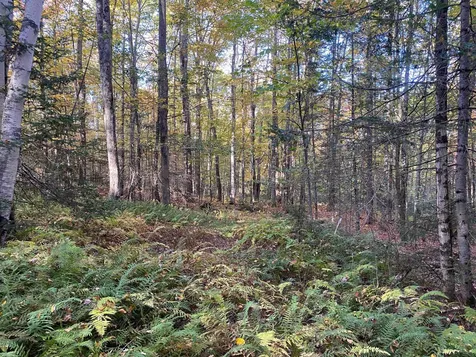 Lot 33.1 Maple Street Bethlehem NH 03574