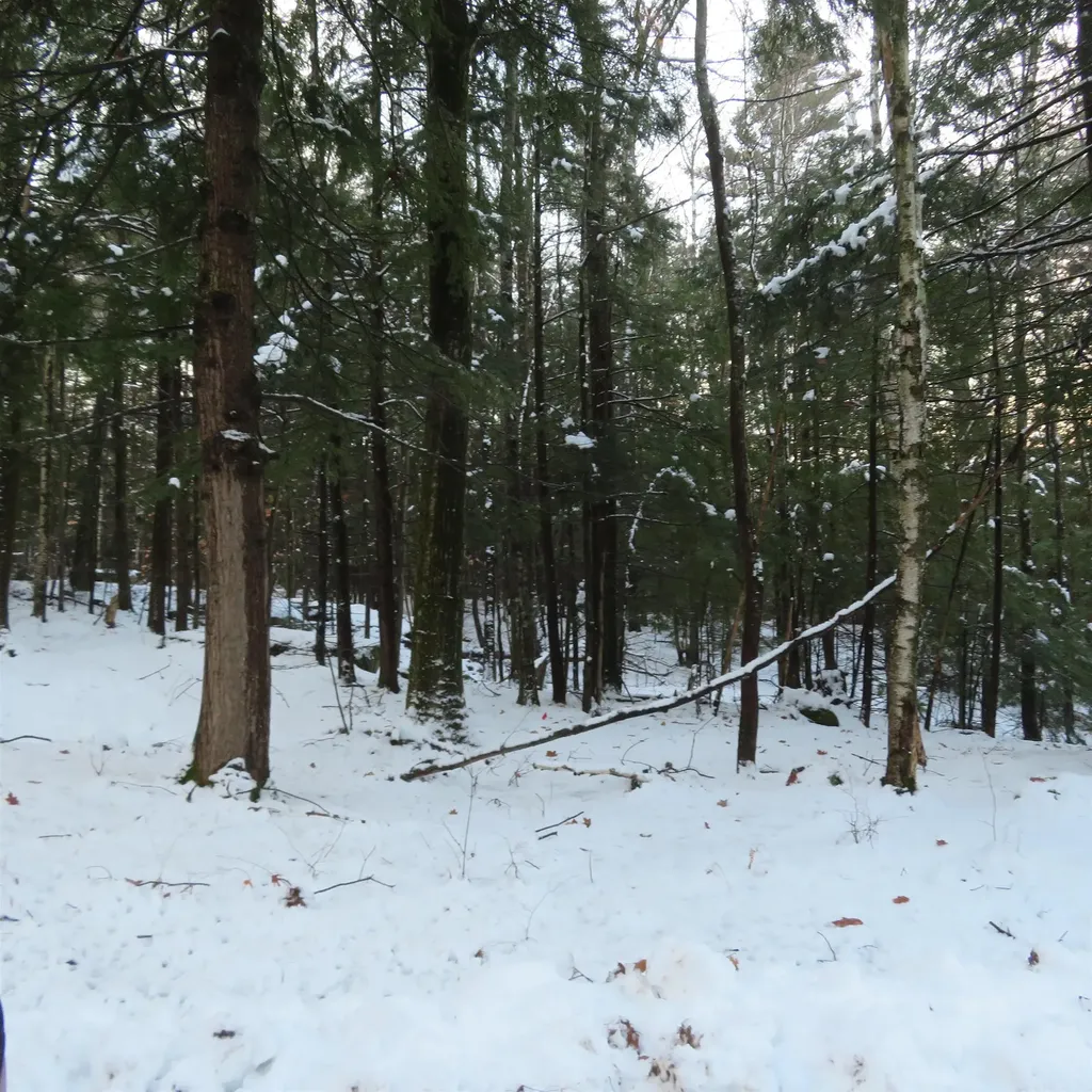 Lot 67 Sandwich Slopes Road Sandwich NH 03227