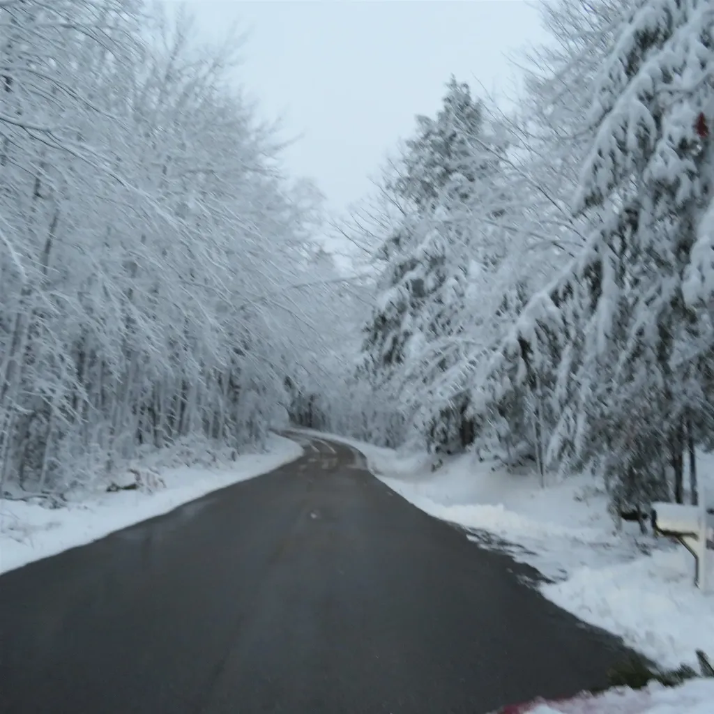 Lot 67 Sandwich Slopes Road Sandwich NH 03227