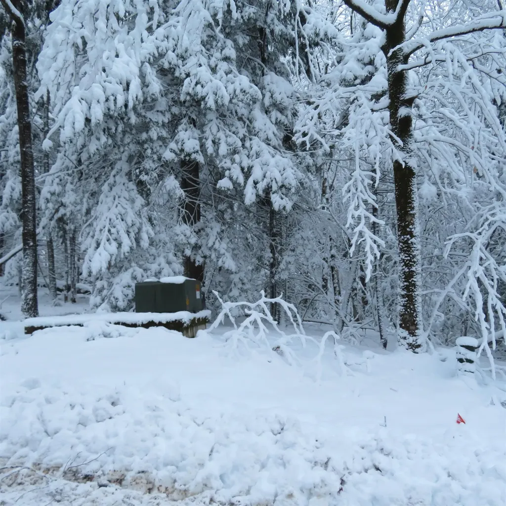 Lot 67 Sandwich Slopes Road Sandwich NH 03227