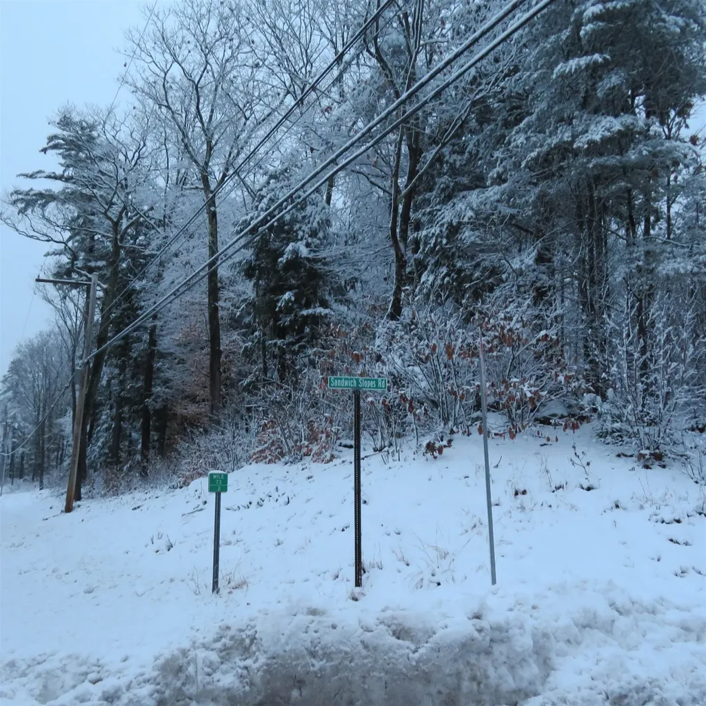 Lot 67 Sandwich Slopes Road Sandwich NH 03227