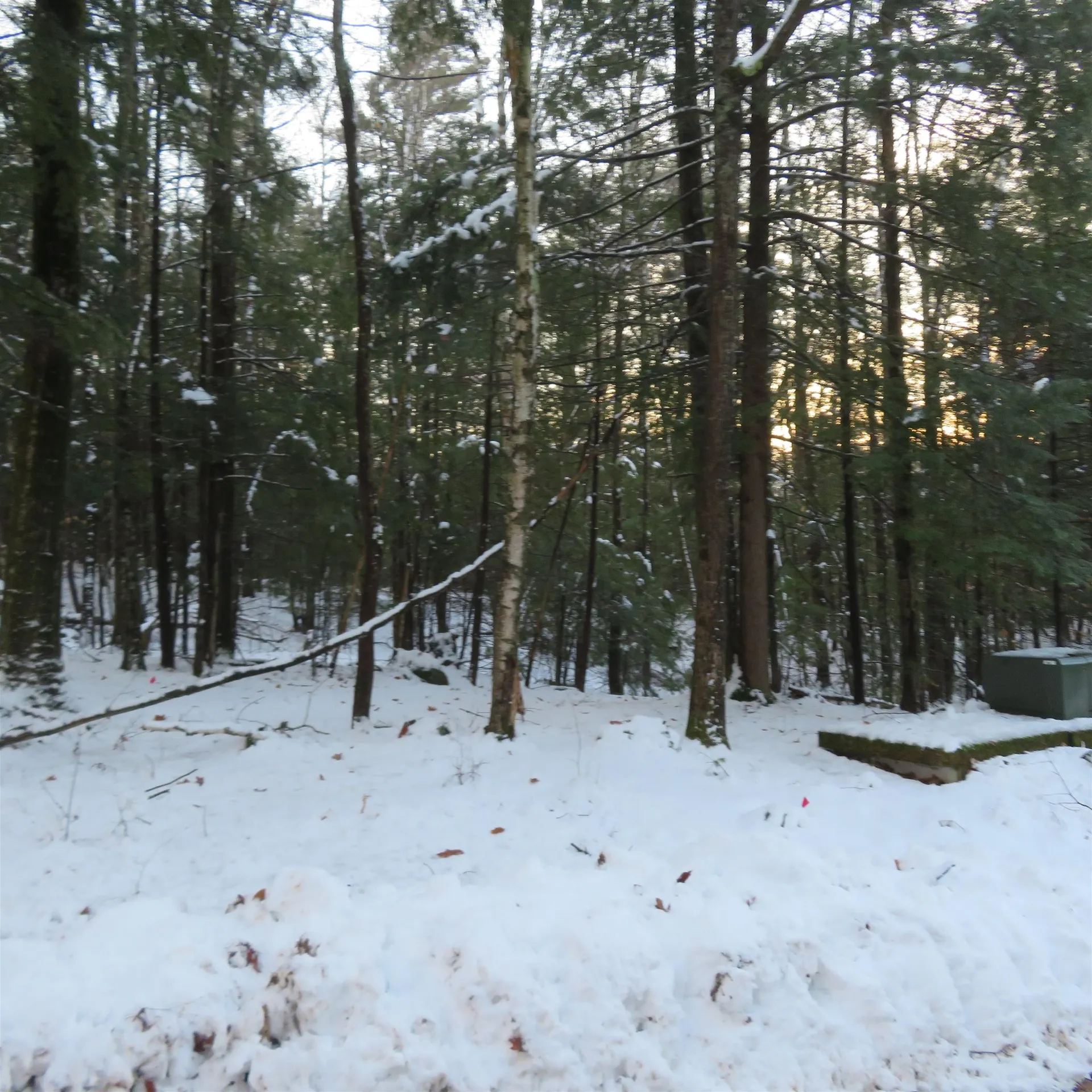 Lot 67 Sandwich Slopes Road Sandwich NH 03227