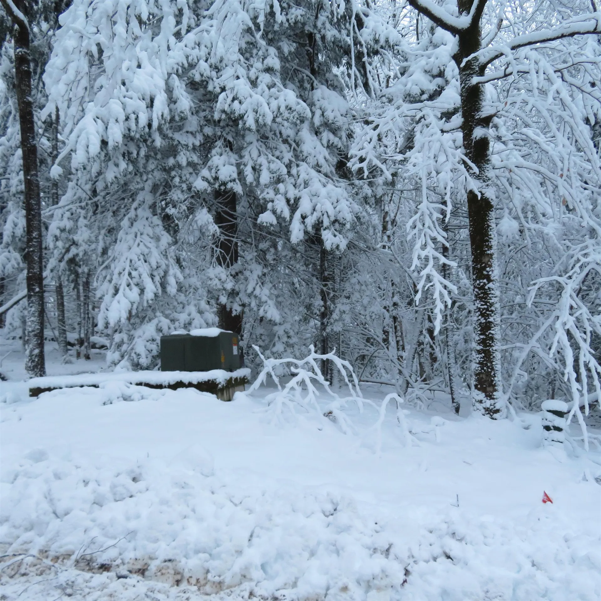 Lot 67 Sandwich Slopes Road Sandwich NH 03227