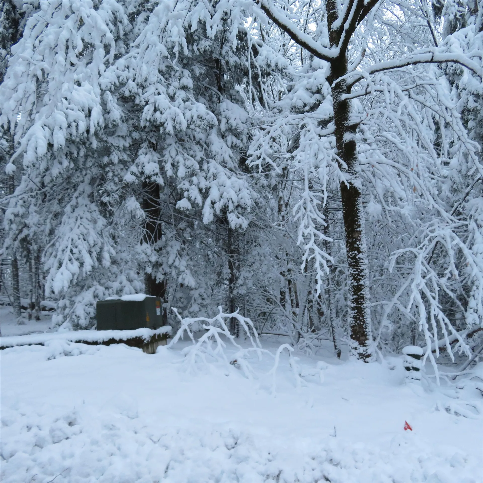 Lot 67 Sandwich Slopes Road Sandwich NH 03227