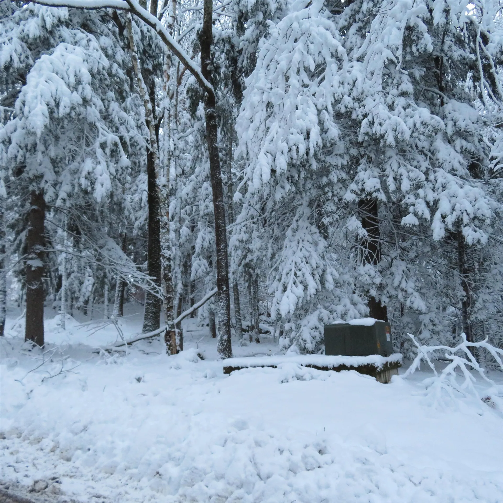 Lot 67 Sandwich Slopes Road Sandwich NH 03227