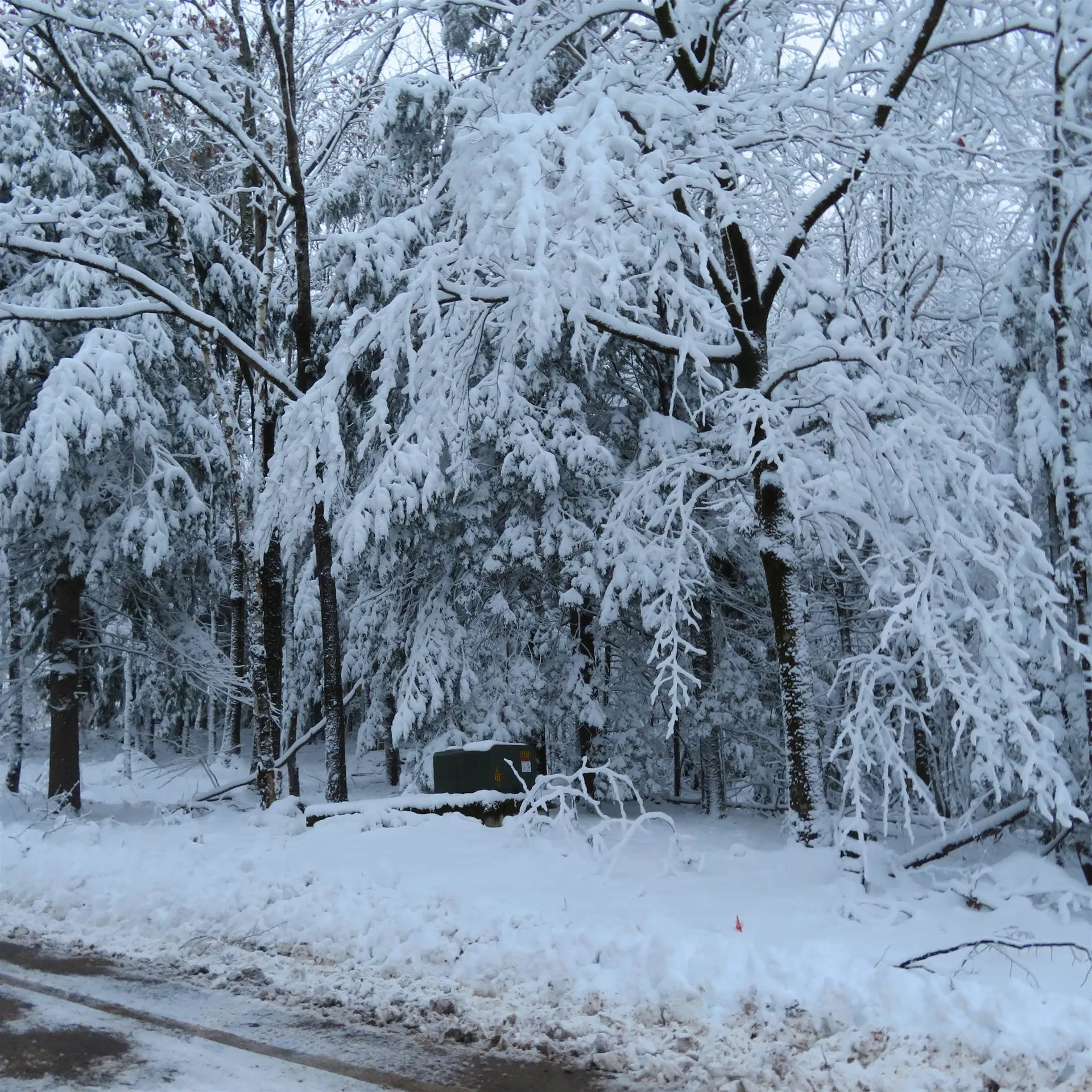 Lot 67 Sandwich Slopes Road Sandwich NH 03227