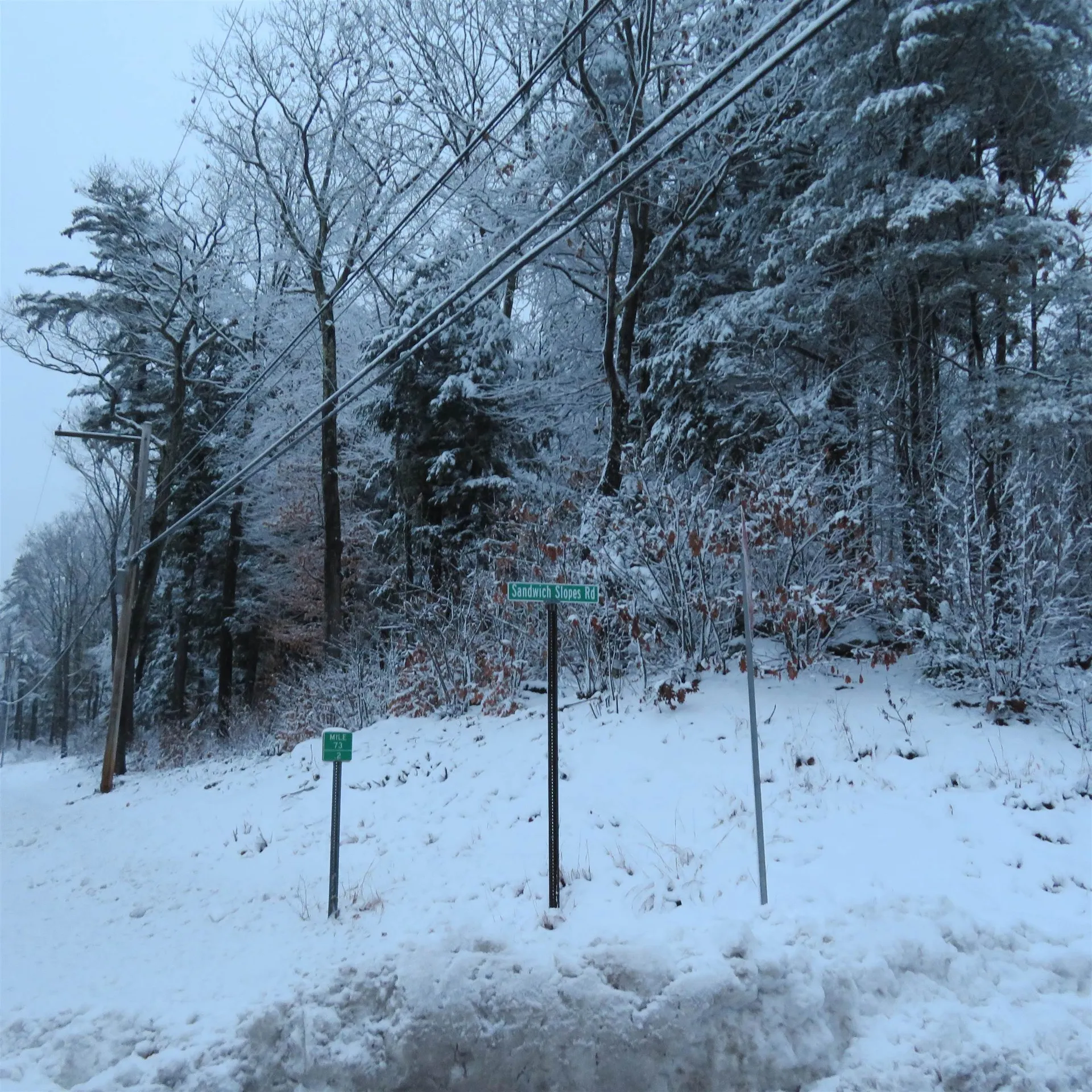 Lot 67 Sandwich Slopes Road Sandwich NH 03227