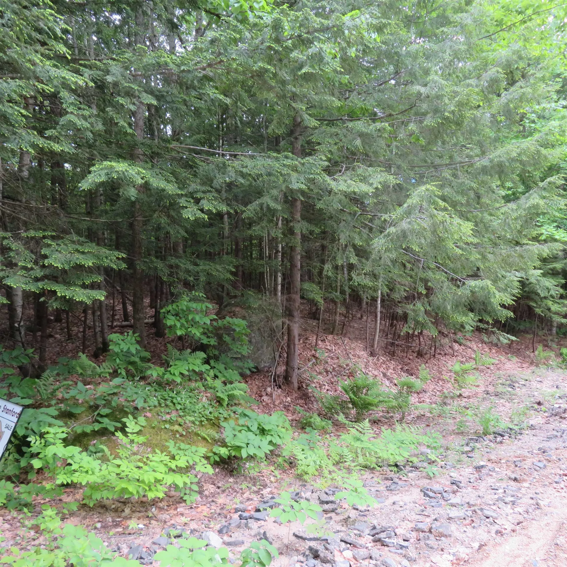 Lot 67 Sandwich Slopes Road Sandwich NH 03227