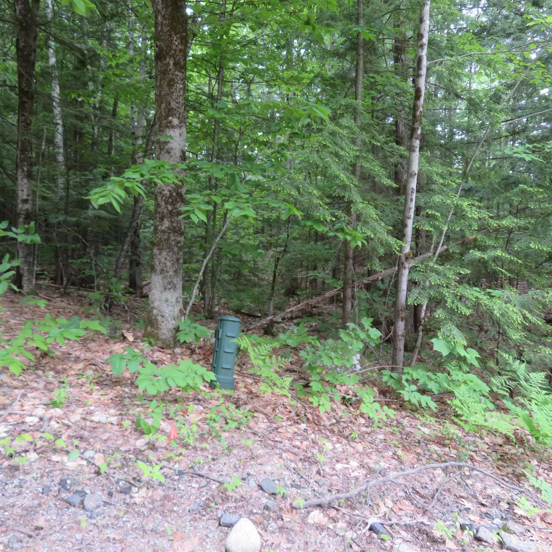 Lot 67 Sandwich Slopes Road Sandwich NH 03227