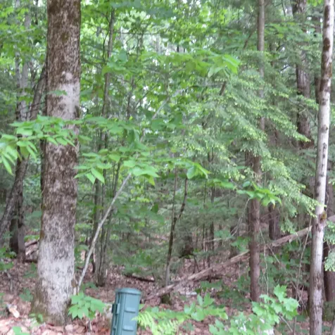 Lot 67 Sandwich Slopes Road Sandwich NH 03227