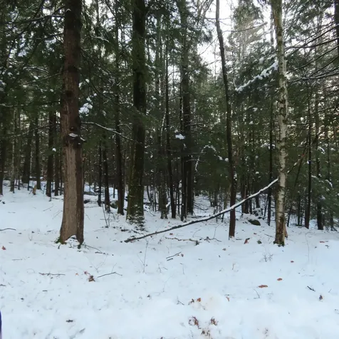 Lot 67 Sandwich Slopes Road Sandwich NH 03227