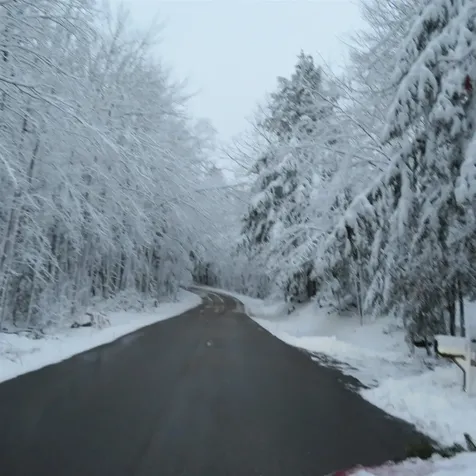 Lot 67 Sandwich Slopes Road Sandwich NH 03227